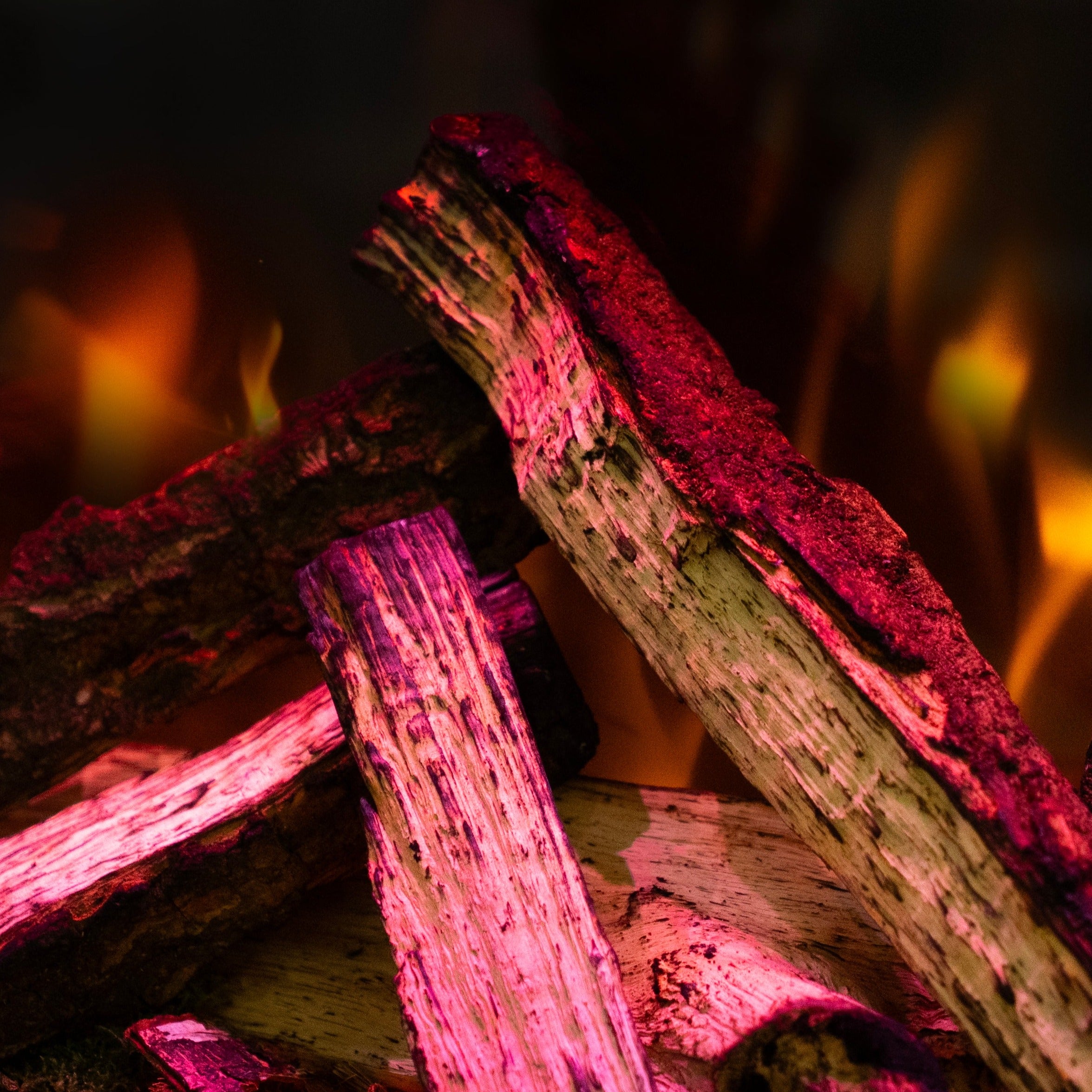 British Woodland Logs - Oak